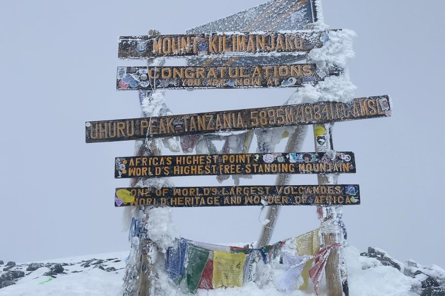 Arrow Trekking & Safaris (48)