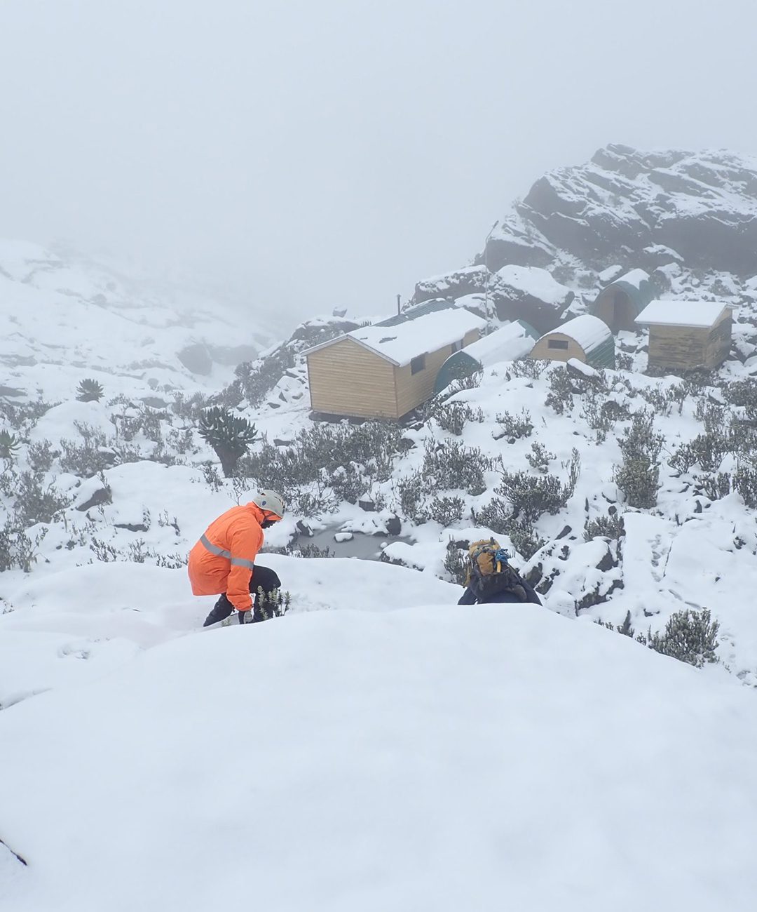 Margherita-Camp-at Rwenzori Mountains