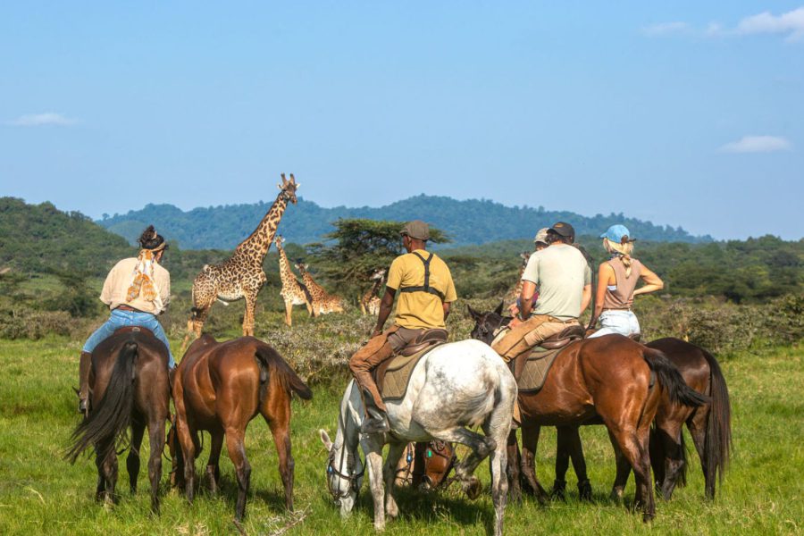 Arrow trekking and safaris